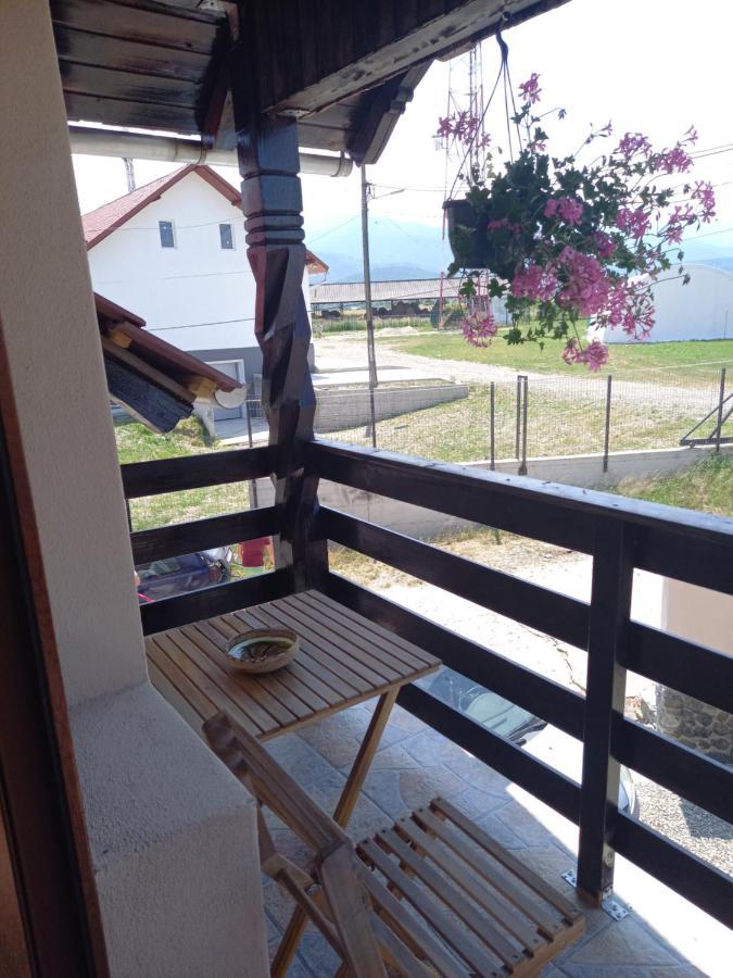 Casa Loredana Cîrţişoara Exterior foto