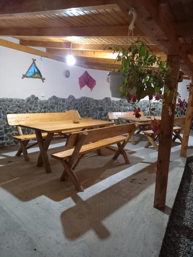 Casa Loredana Cîrţişoara Exterior foto