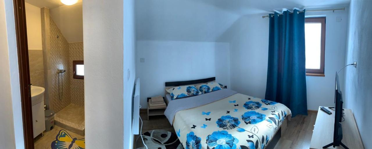 Casa Loredana Cîrţişoara Exterior foto