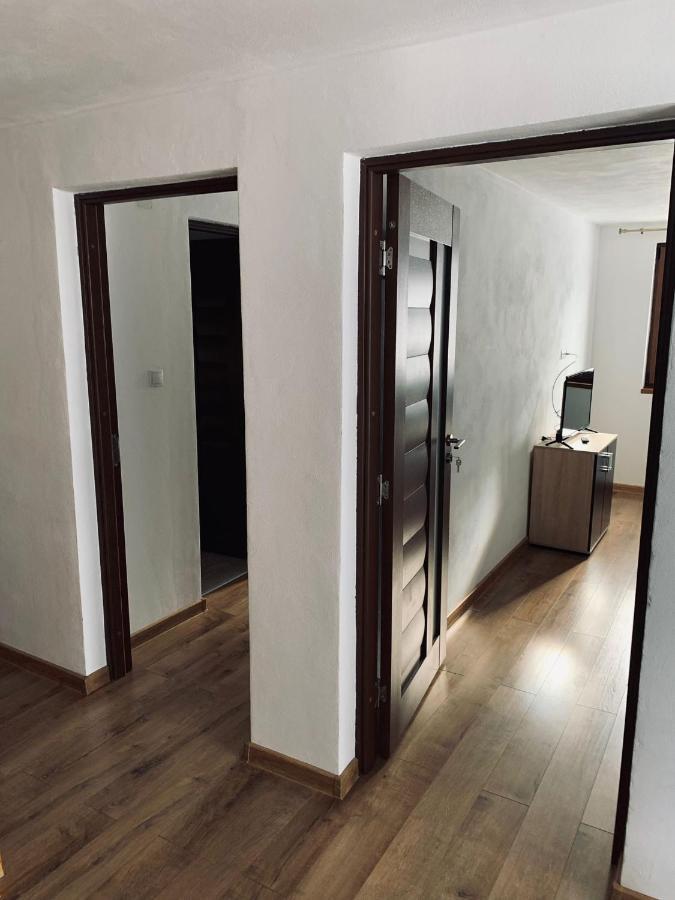 Casa Loredana Cîrţişoara Exterior foto