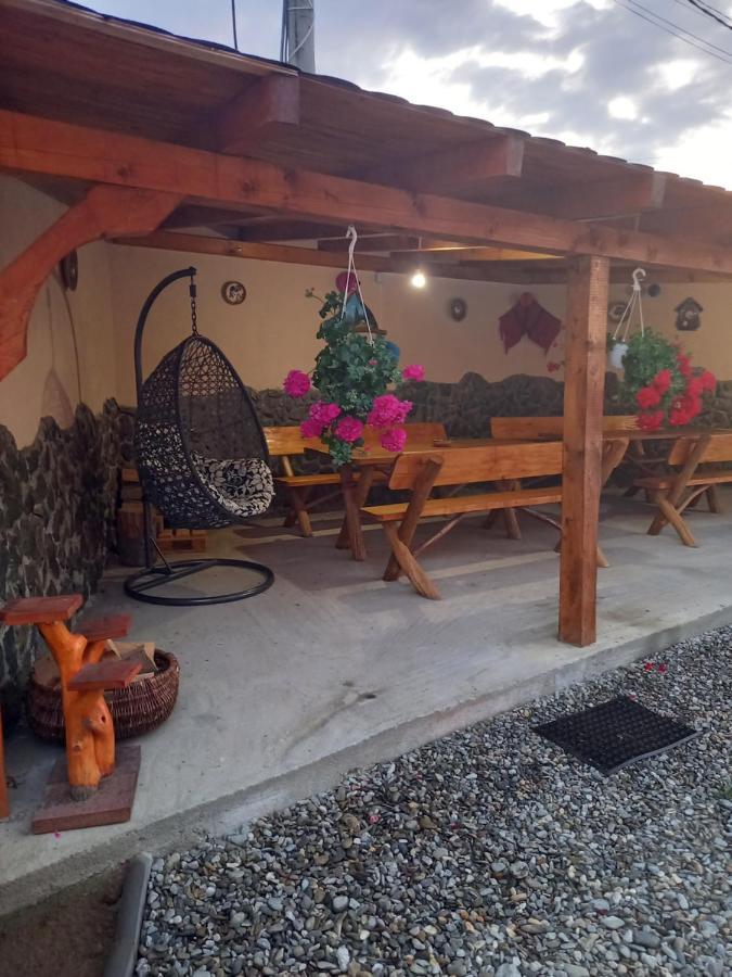 Casa Loredana Cîrţişoara Exterior foto